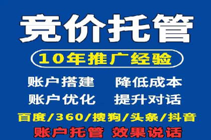 百度竞价SEM成功案例：揭秘广告投放秘诀